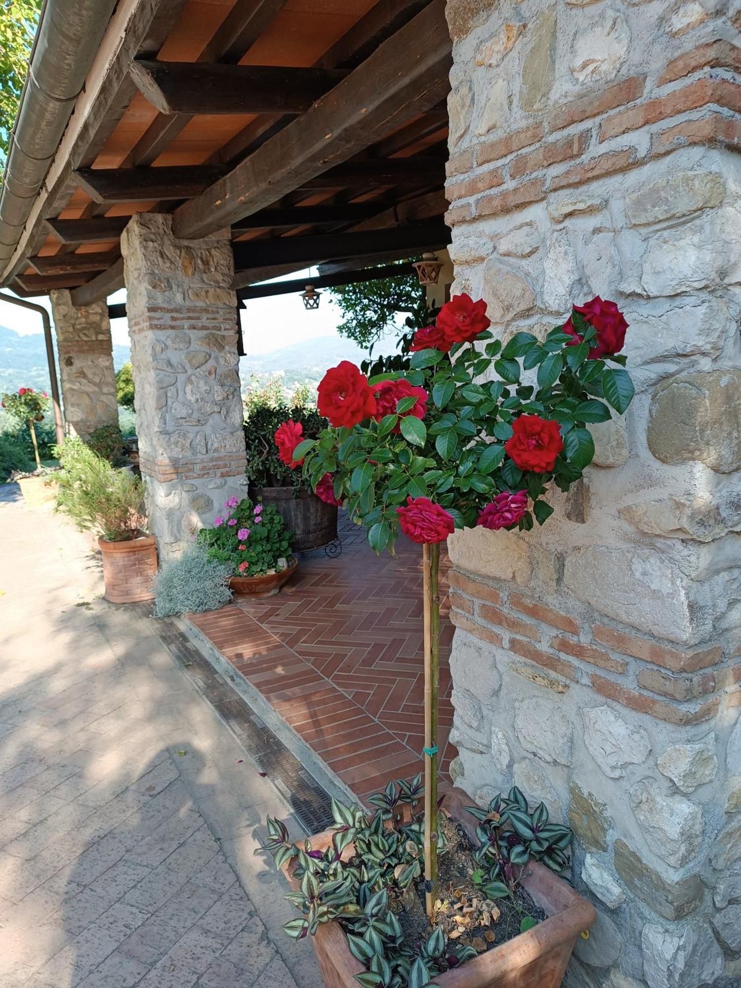 Santa Lucia B&B Caiazzo Dış mekan fotoğraf
